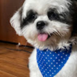 Meet your Posher, Perla